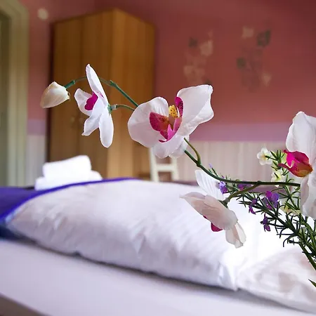 Guest house Neun 3/4 2*